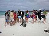 Galapagos 3-2-02 Espanola Gardner Bay Admiring Sea Lions Here we are admiring a sea lion on the beach at Gardner Bay.